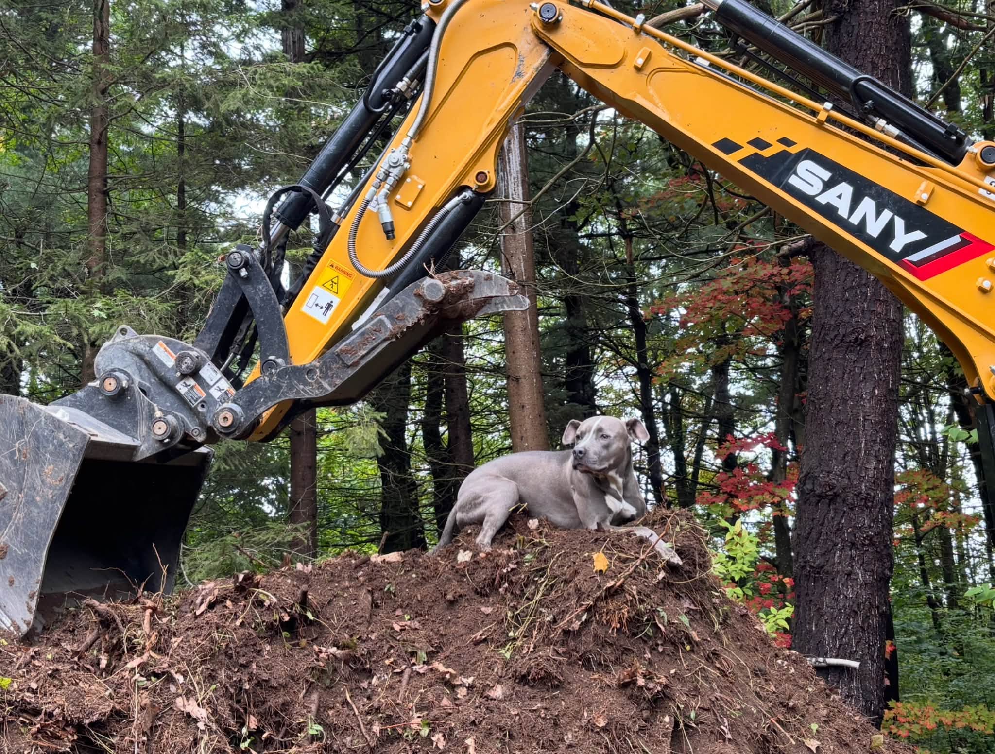 Land clearing underway — Princeton, MA